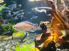 -太平洋海底世界