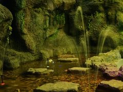 -泗洪洪泽湖湿地景区