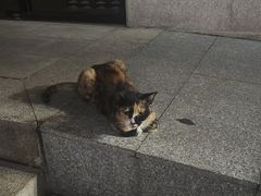 -荔湾湖公园