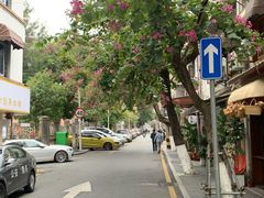 -溪岸路花鸟市场