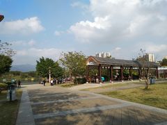 -飞来湖湿地公园