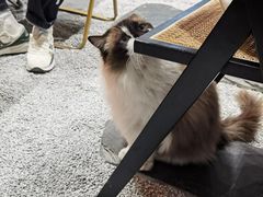 -seeu coffee(江滩店)