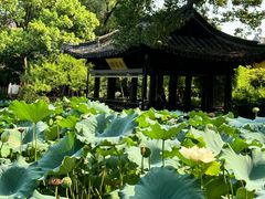-绍兴鲁迅故里·沈园景区