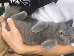 -联合动物医院(光谷诊疗中心)
