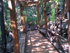 -大岭沟猕猴桃谷风景区
