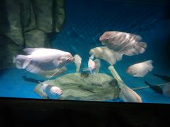 -泉州海丝野生动物世界