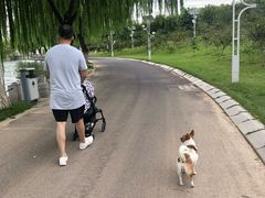 -济南国际园博园