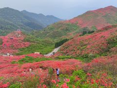 -大围山国家森林公园