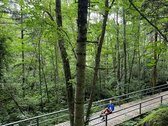 -五营红松林海景区