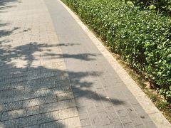 -迎泽公园