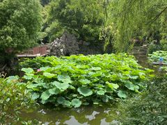 -郑和公园