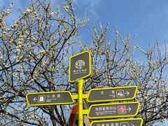 -树山生态村