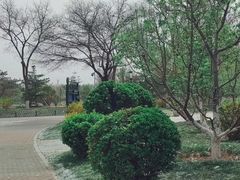-燕郊植物园