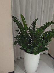 -广东韩妃整形外科医院