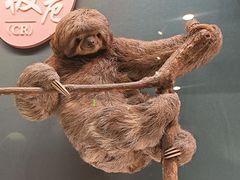 -国家自然博物馆