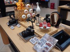 -Sony Store索尼(深圳深业上城店)