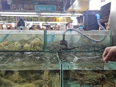 -班赞海鲜市场