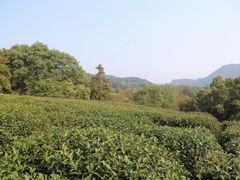 -西湖风景区十里琅珰-五云山