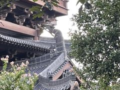 -杭州半山国家森林公园