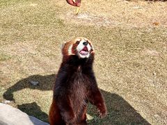 -水上乐园·欢乐世界