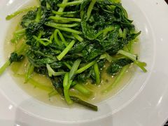 清炒鸡毛菜-金枝玉叶上海人家食府(三里河店)