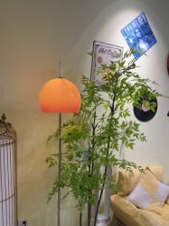 -变美丽半永久纹眉连锁·机器野生眉•洗眉