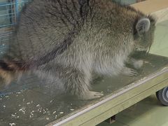 -万隆广场(昆仑大街店)