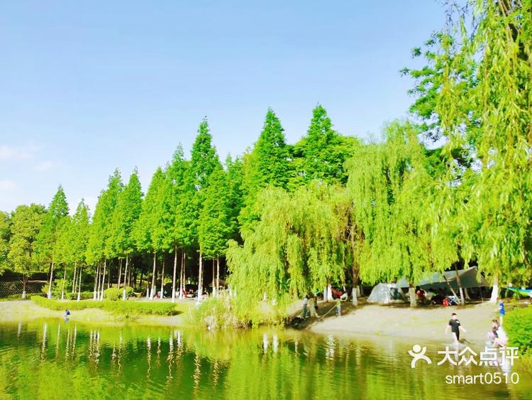 嘉裕羊马湿地公园-大众点评
