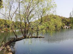 -杭州半山国家森林公园