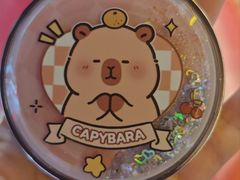 -可爱抓 COCO  GOTCHA(天津鹏欣水游城店)