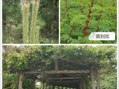 -南海子公园
