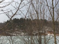 -四明山国家森林公园