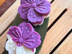 -广州富力君悦大酒店空中花园