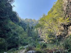 -石台牯牛降景区