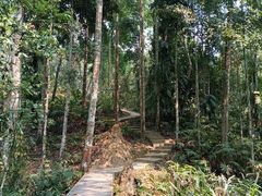 -中国科学院西双版纳热带植物园