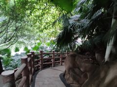-百林公园-两江幸福广场