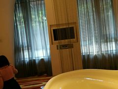 -深圳东部华侨城瀑布酒店