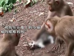 -昆明动物园