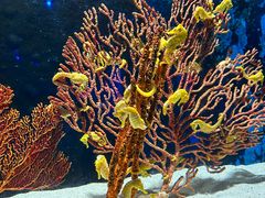 -珠海长隆海洋王国