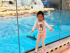 -帝企鹅自助餐厅•儿童岛•真企鹅(长隆企鹅酒店)