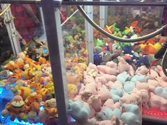 -PAWTOY爪e玩偶店(天兴罗斯福店)