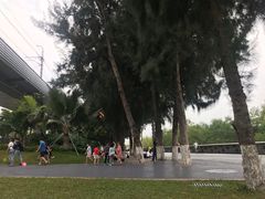 -宝安西湾红树林湿地公园