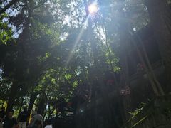 景点-石经寺