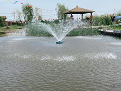 -同銮特种养殖场·龙虾垂钓