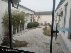 -渝乡辣婆婆·川菜 水煮鱼(安平店)