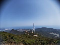-盐洲岛