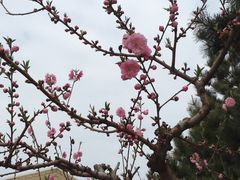 -朝阳公园游乐园