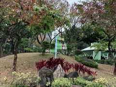 -九龙寨城公园