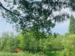 -昆山城市生态森林公园