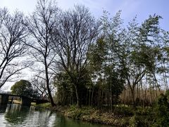 -西溪国家湿地公园